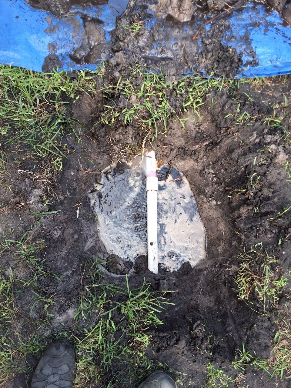 White measuring ruler on muddy ground beside a gray rock patch and green grass.