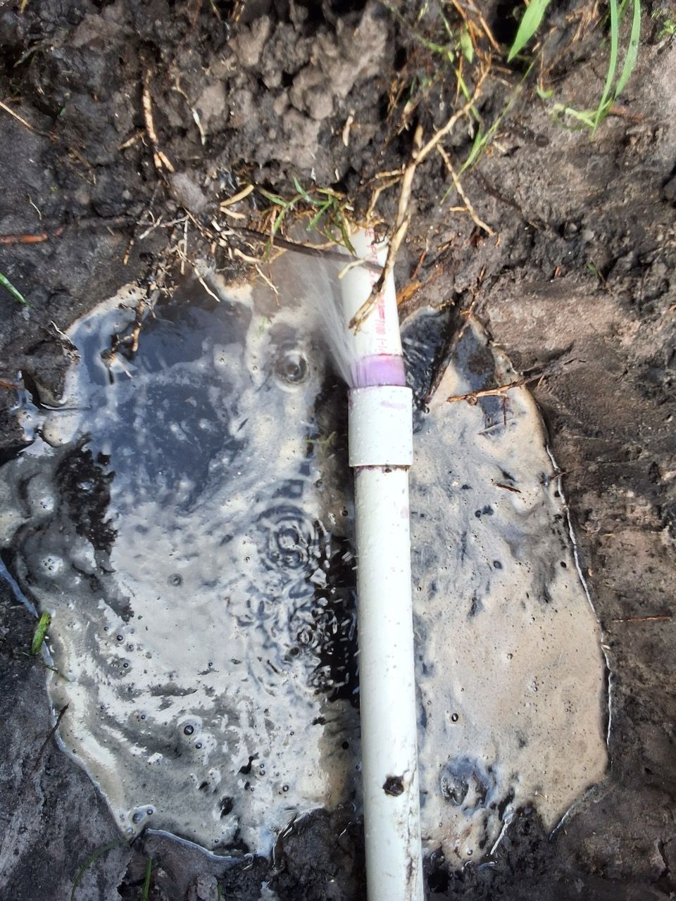 White PVC pipe with a purple band protrudes from muddy ground, surrounded by a wet gray puddle.