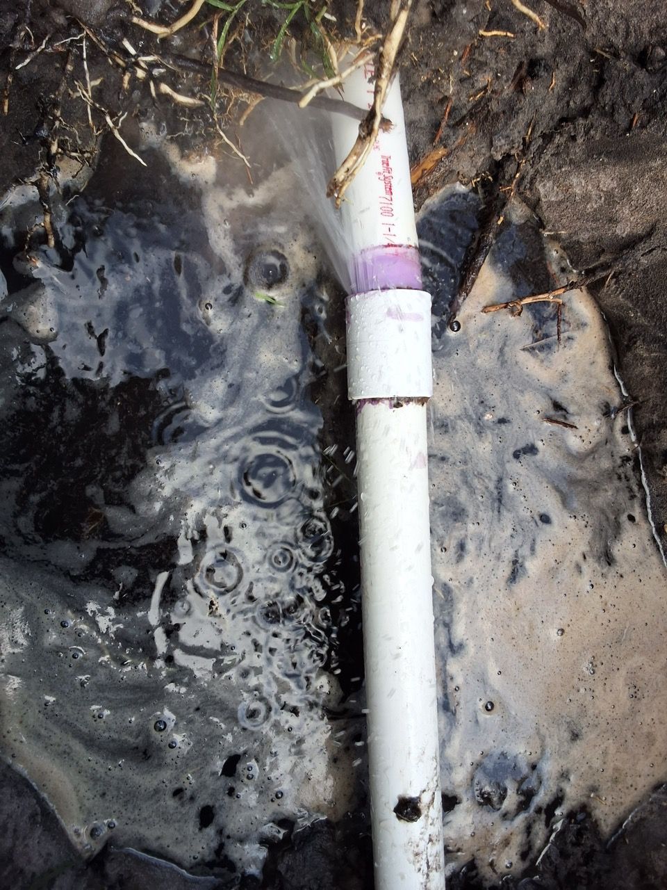 White PVC pipe in muddy water with bubbling foam and soil around it
