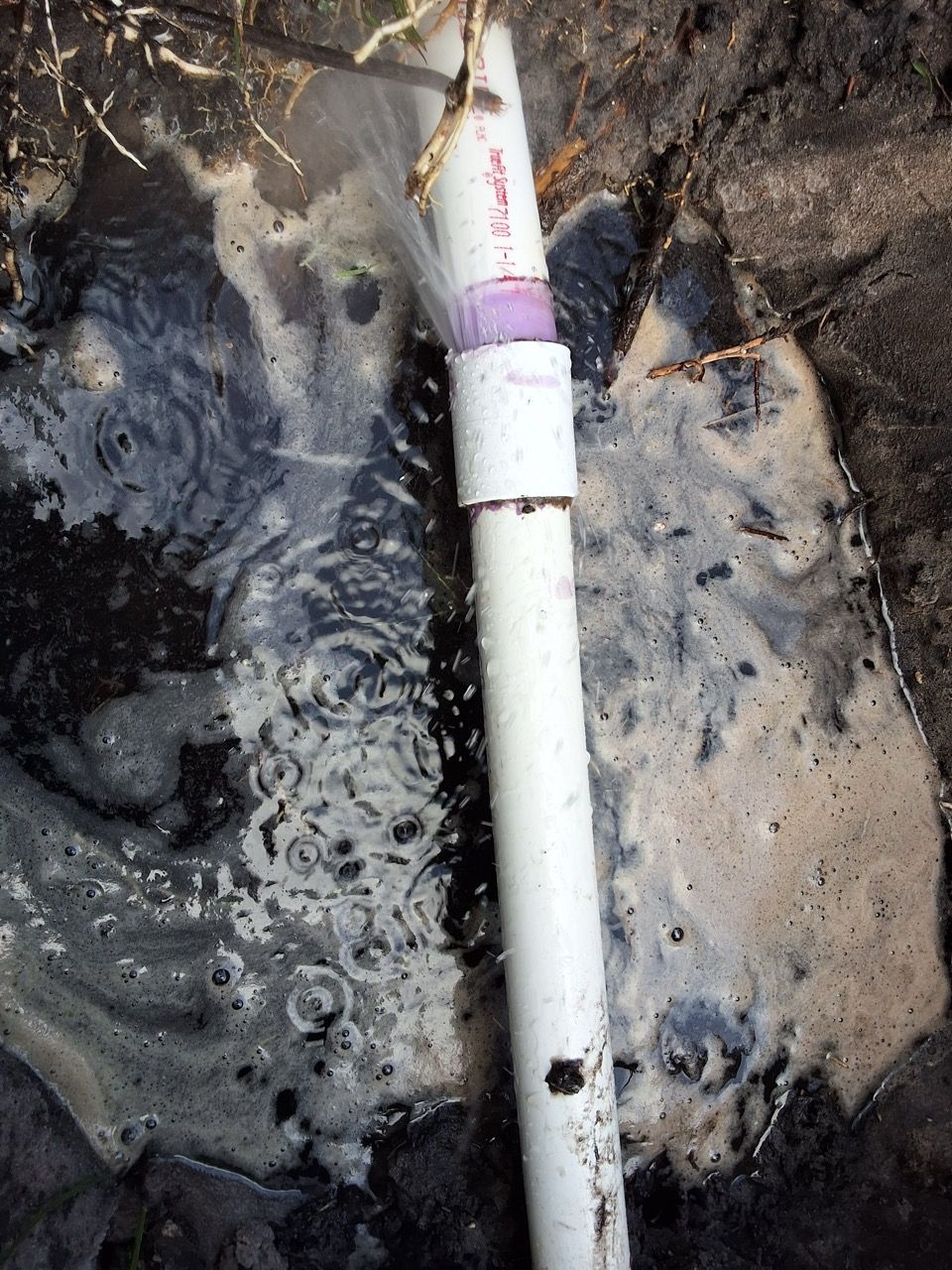 White PVC pipe in dark muddy water, with a purple band and debris around it.