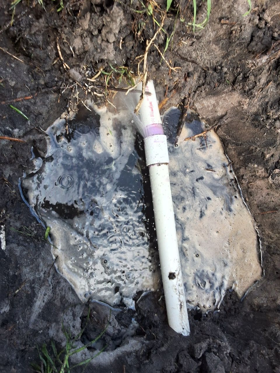 White PVC pipe with a purple band embedded in muddy soil, surrounded by wet dirt.