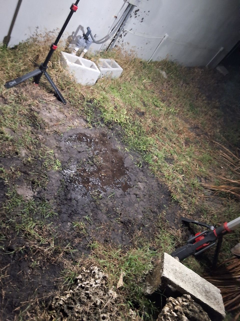Muddy backyard patch beside a wall, with two tripod stands and white buckets near the fence.