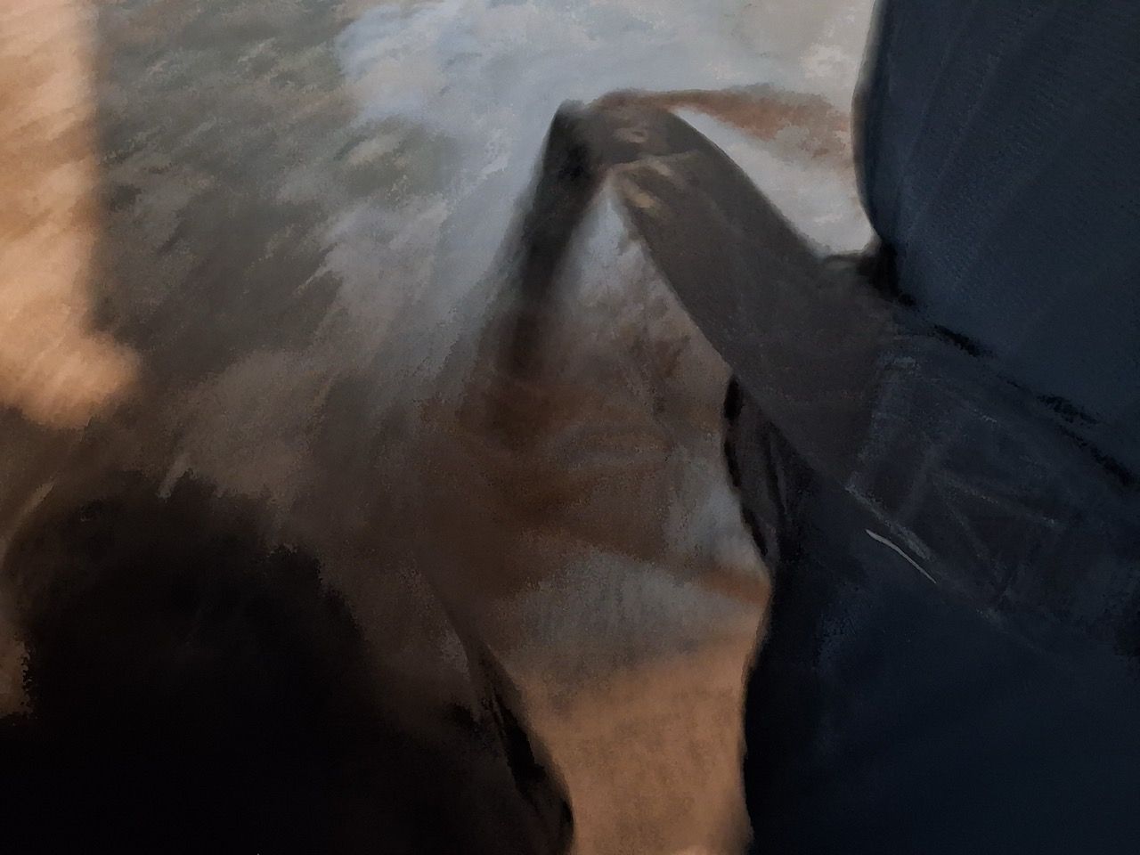 Close-up of a dark animal tail beside a person in black pants on a blurry pavement surface