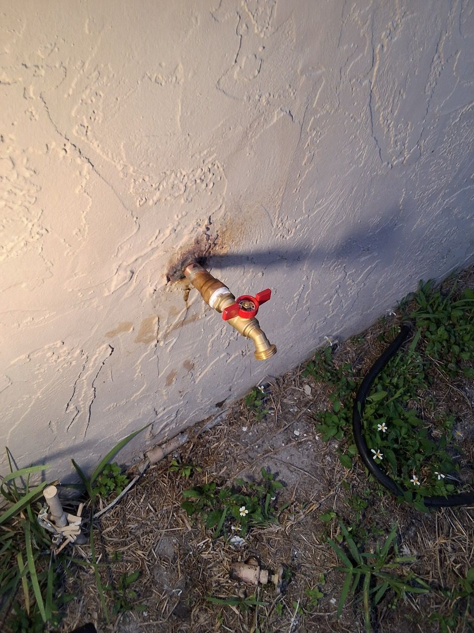 Broken wall spigot with a red and yellow valve handle, mounted above a small patch of grass and concrete.