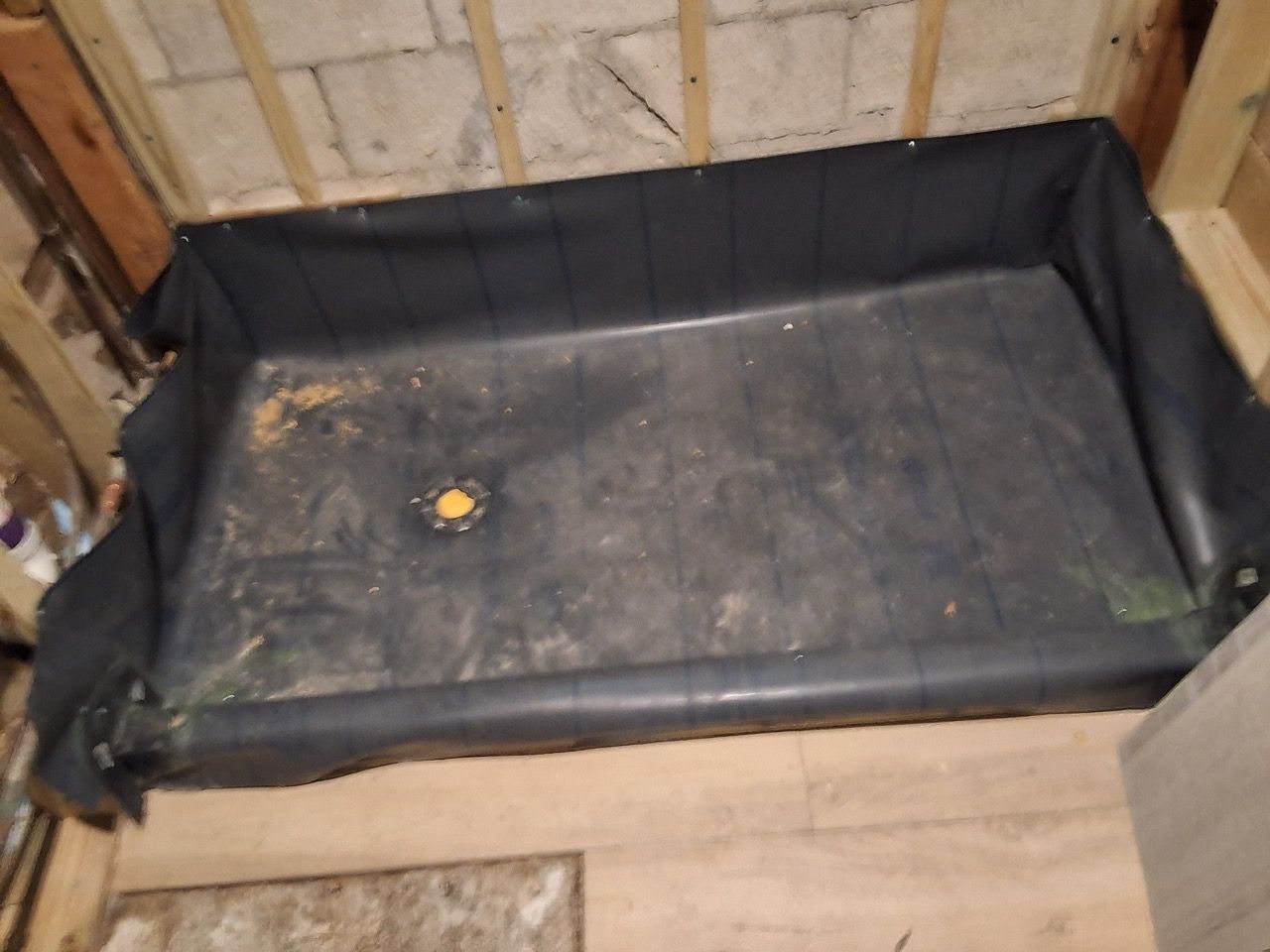 Black-lined rectangular dog bed with a small orange ball on the floor in a bare room