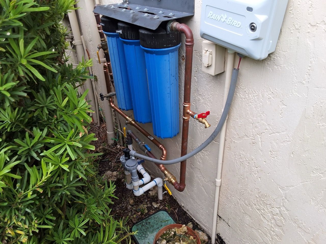 Outdoor water filter system with blue cartridges mounted beside a house wall and shrubbery