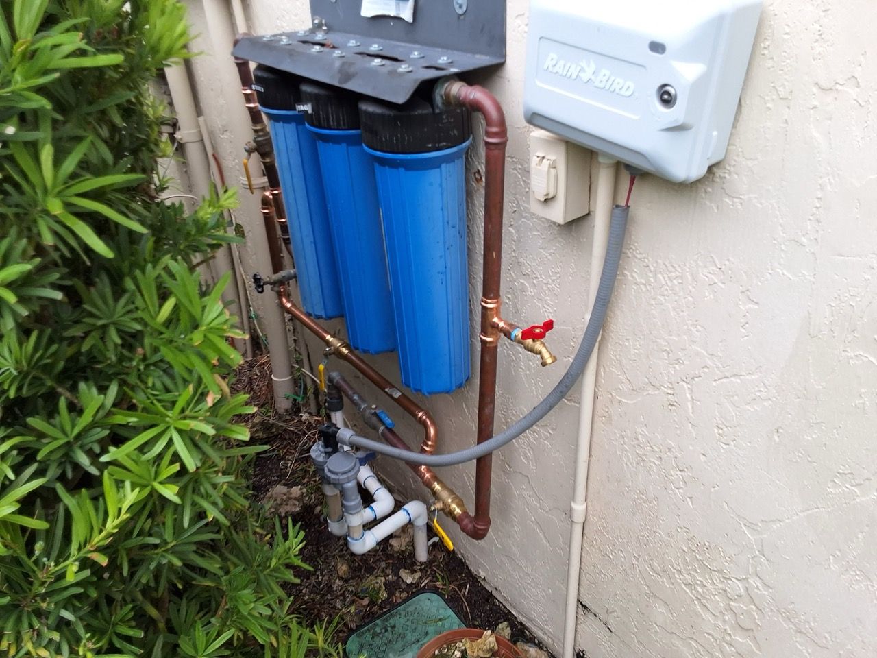 Outdoor water filtration system with blue canisters and pipes mounted on a wall near plants
