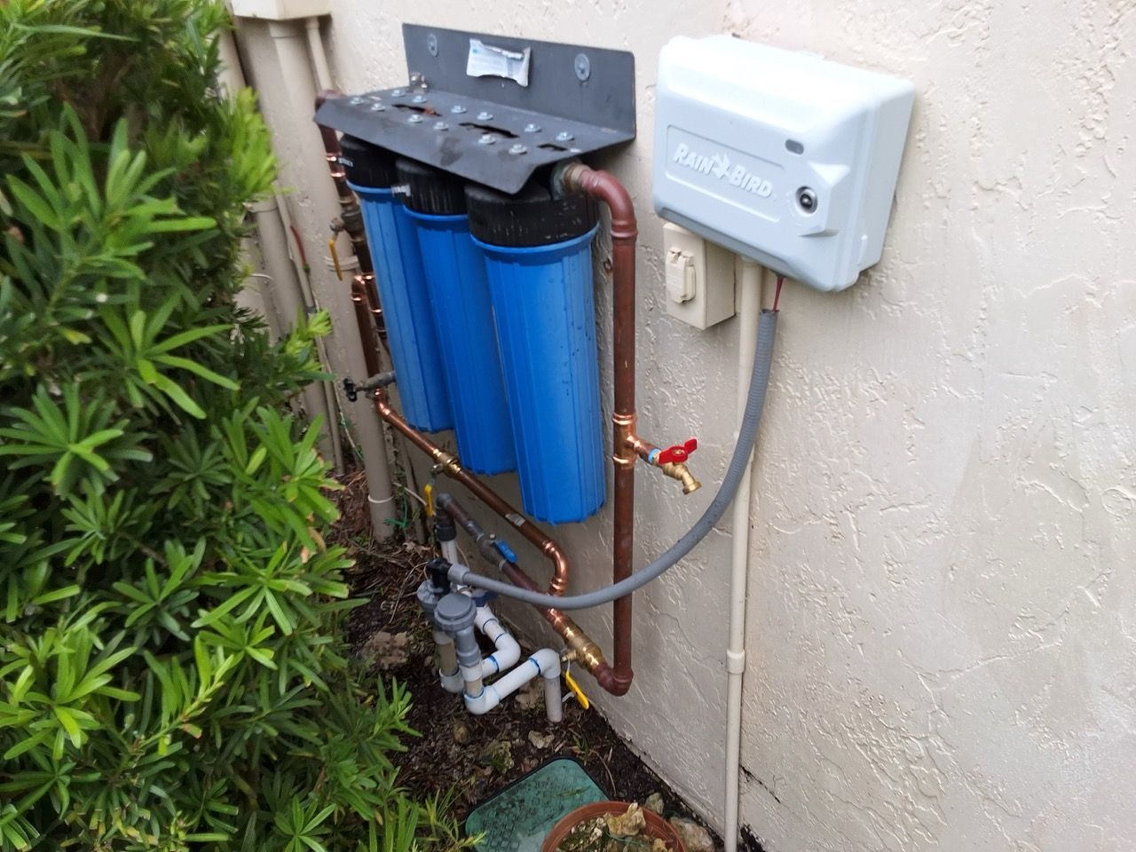 Blue water filter system mounted beside a beige wall and shrubs outdoors