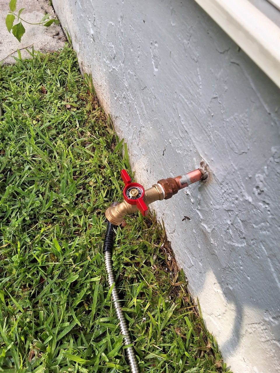 Outdoor water hose connected to a wall spigot beside grass and pavement