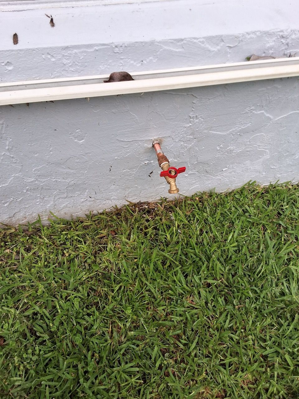 Small red toy figure stuck in a crack at the base of a light gray wall beside green grass.