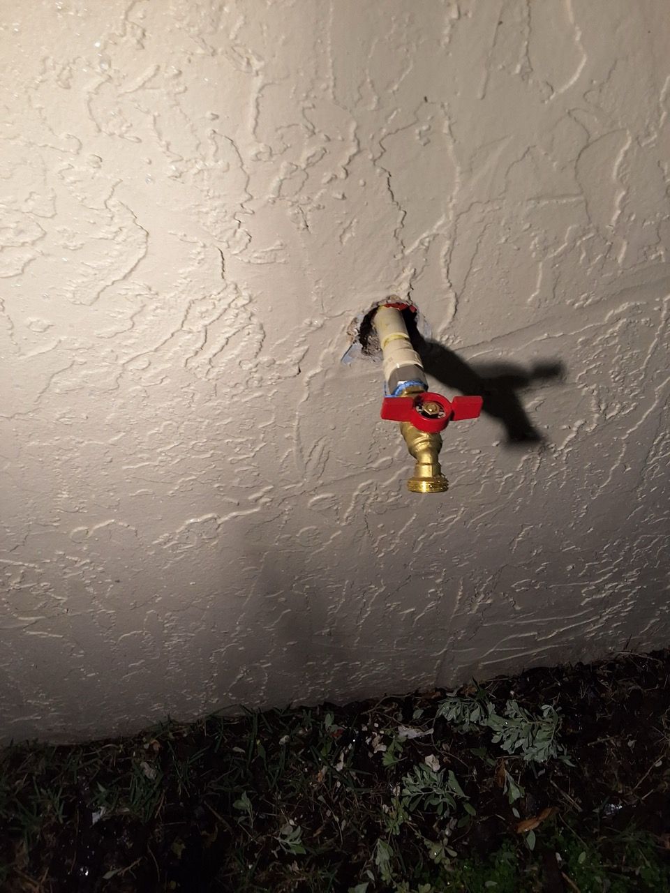 A small red fire sprinkler hangs from a textured ceiling above dark foliage.