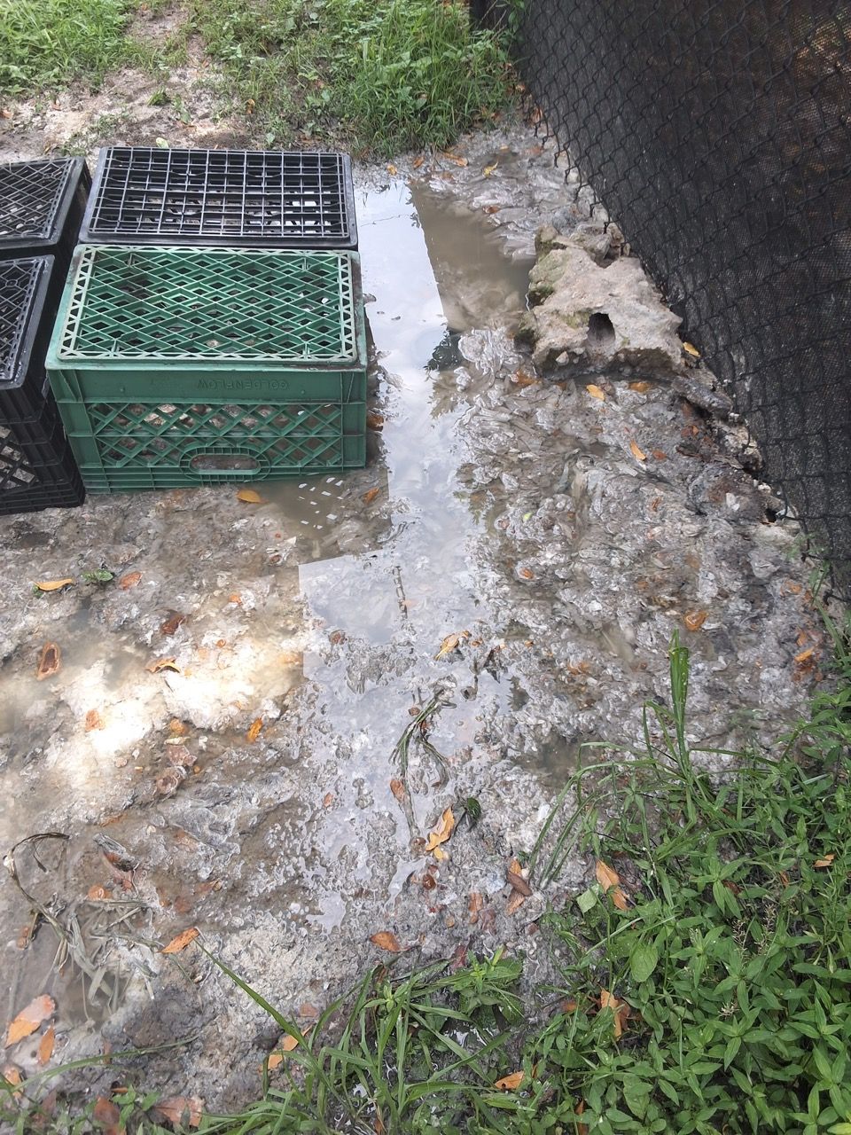 Cracked concrete path beside stacked plastic crates and a dark wall, with weeds and debris.