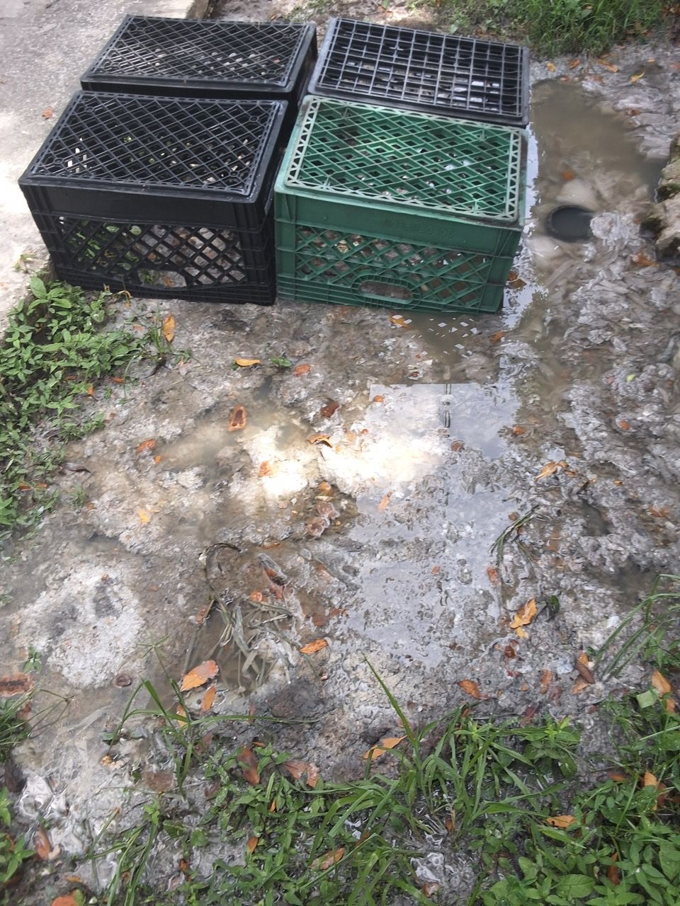 Two plastic crates on wet, muddy ground beside a small patch of spilled material