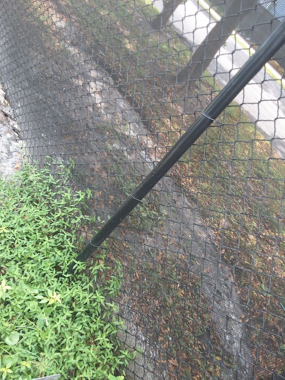 Black mesh fence beside green foliage and a wet concrete path outdoors
