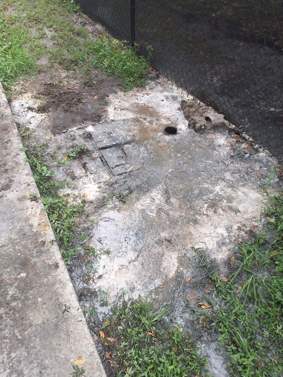 Cracked concrete patch beside a curb and asphalt, with small weeds growing through the surface.