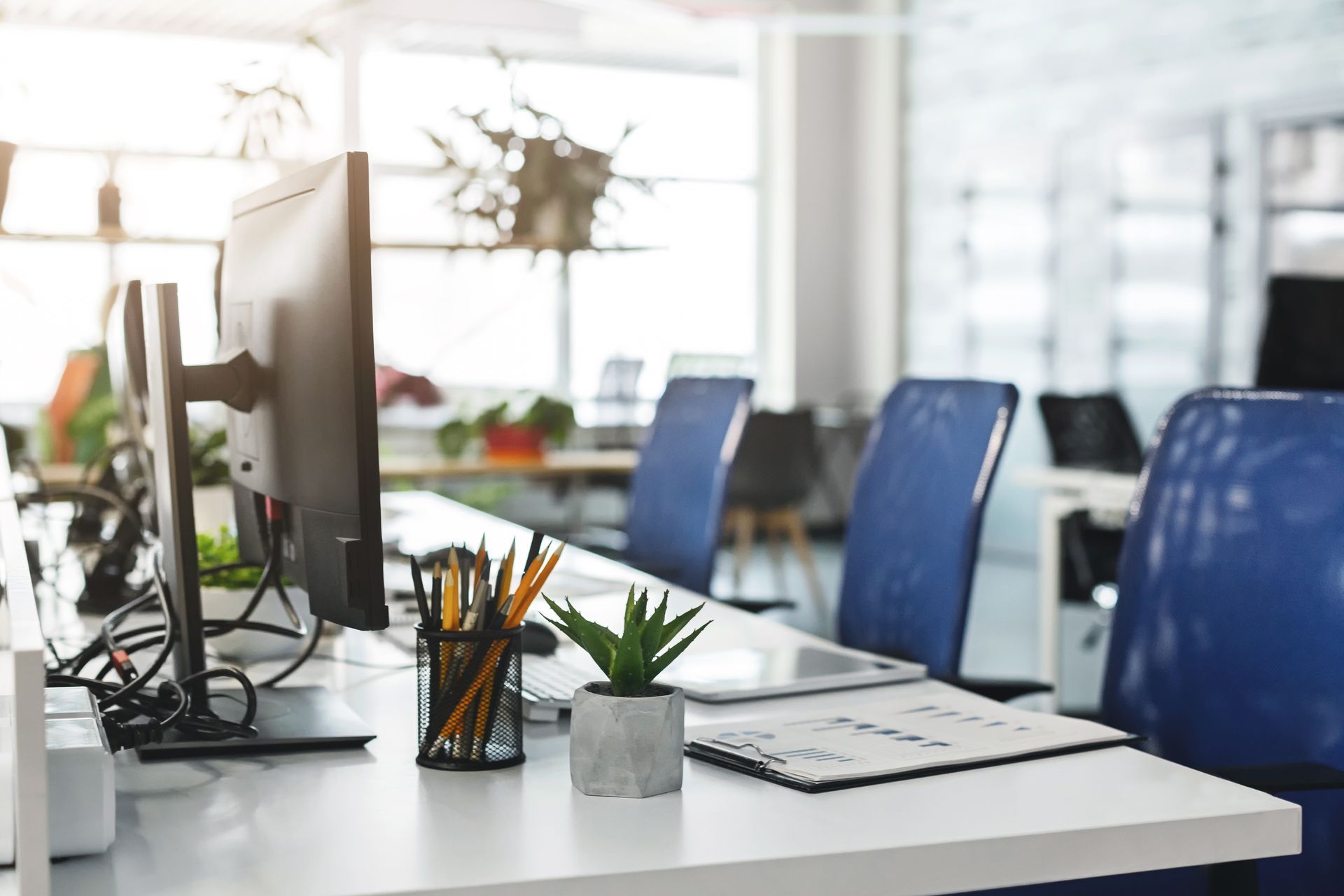 Modern office desk with monitors, blue chairs, potted plants, and a pencil holder in a bright workspace