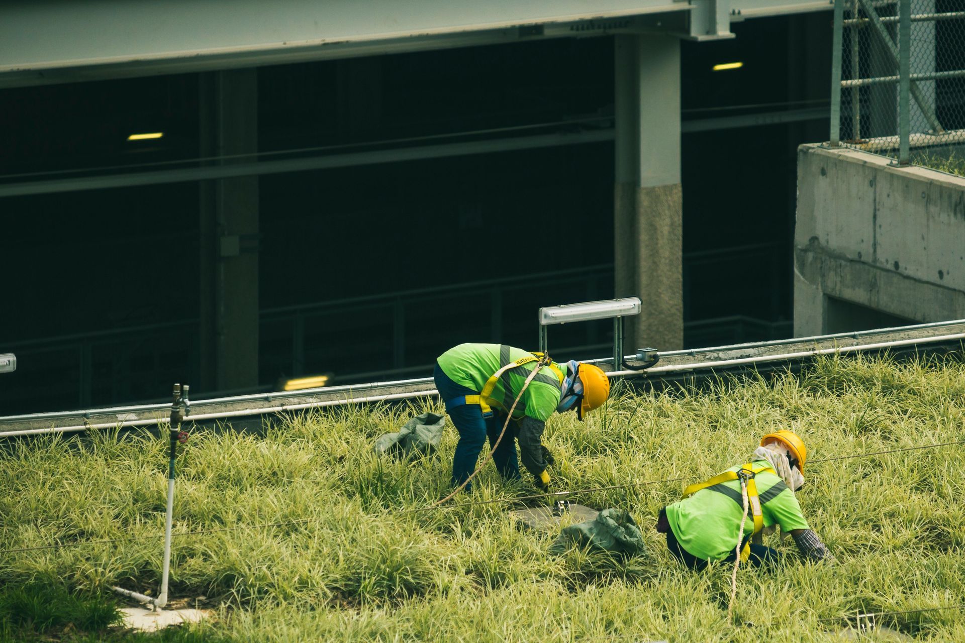 Workers landscaping outside.