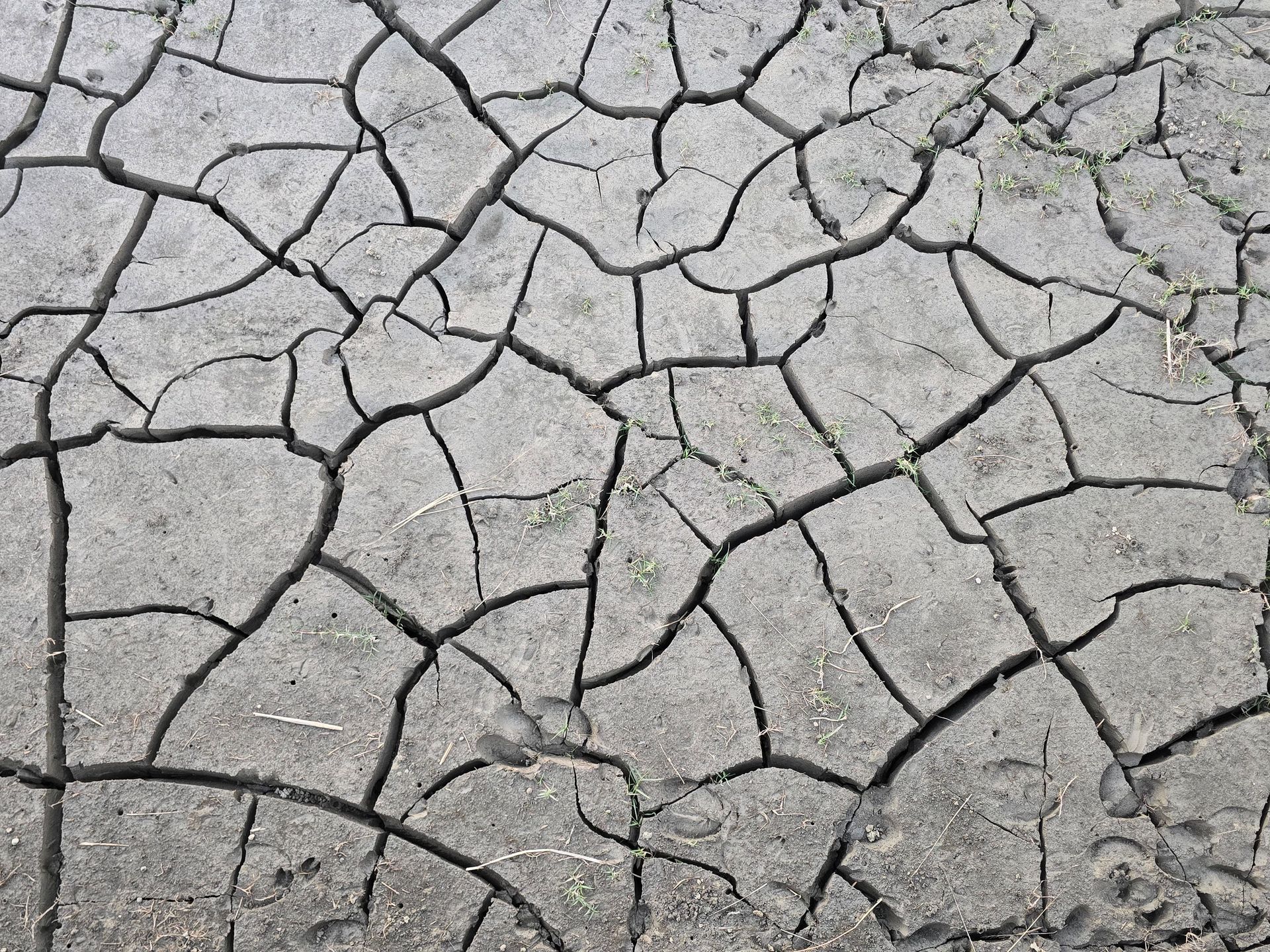 Dried and cracked ground