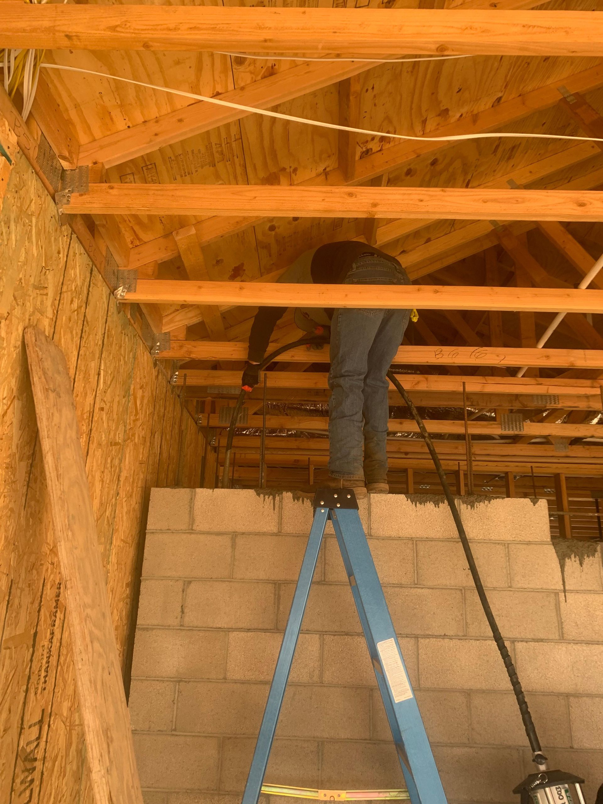 Check out our past work