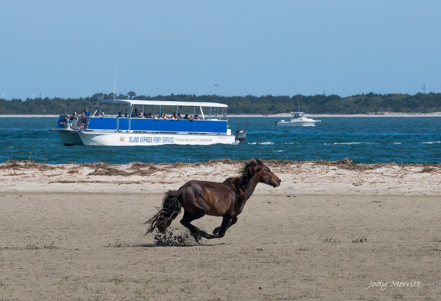 A horse running on a beach with a boat in the background