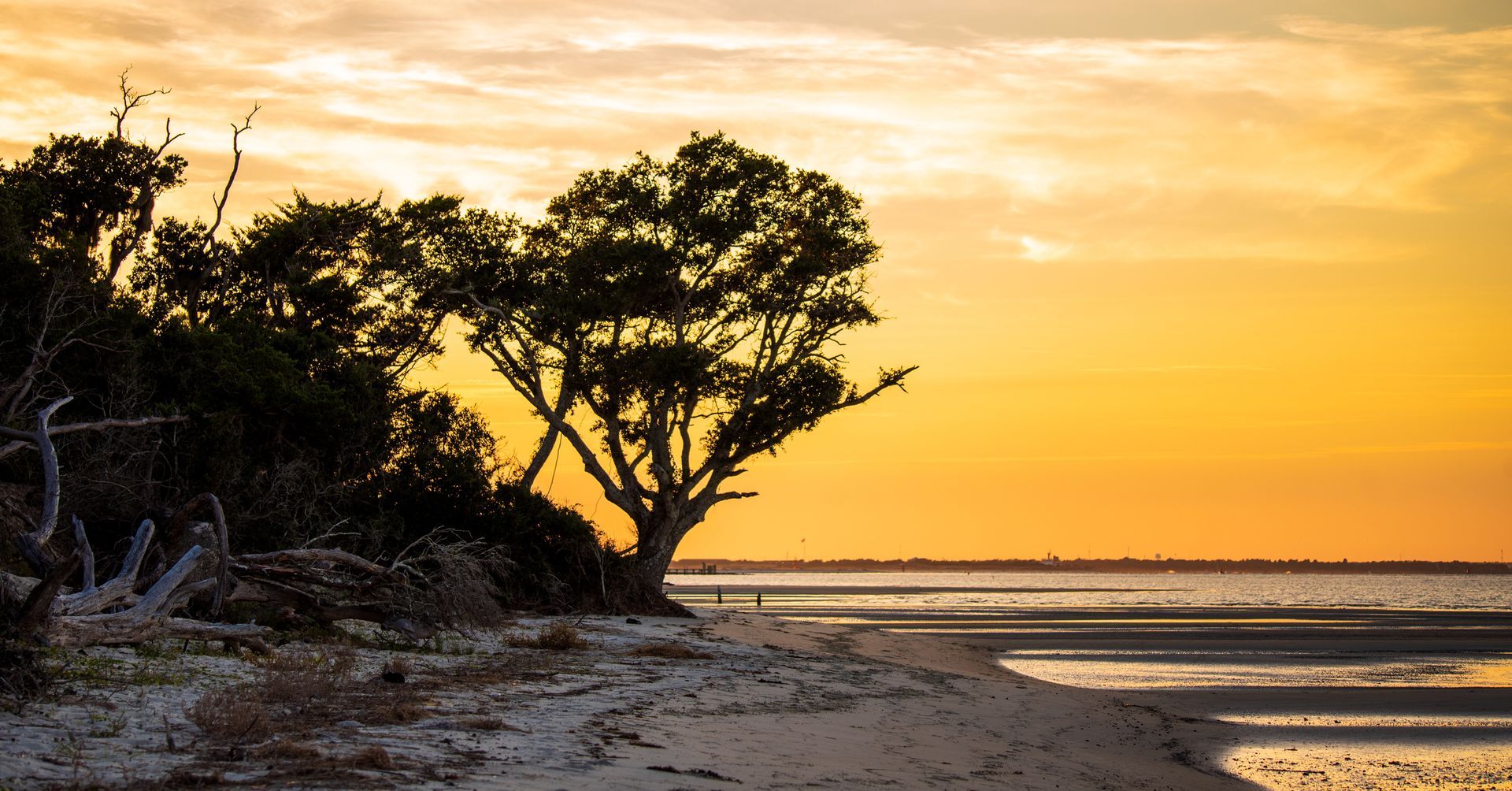 Shackleford Banks