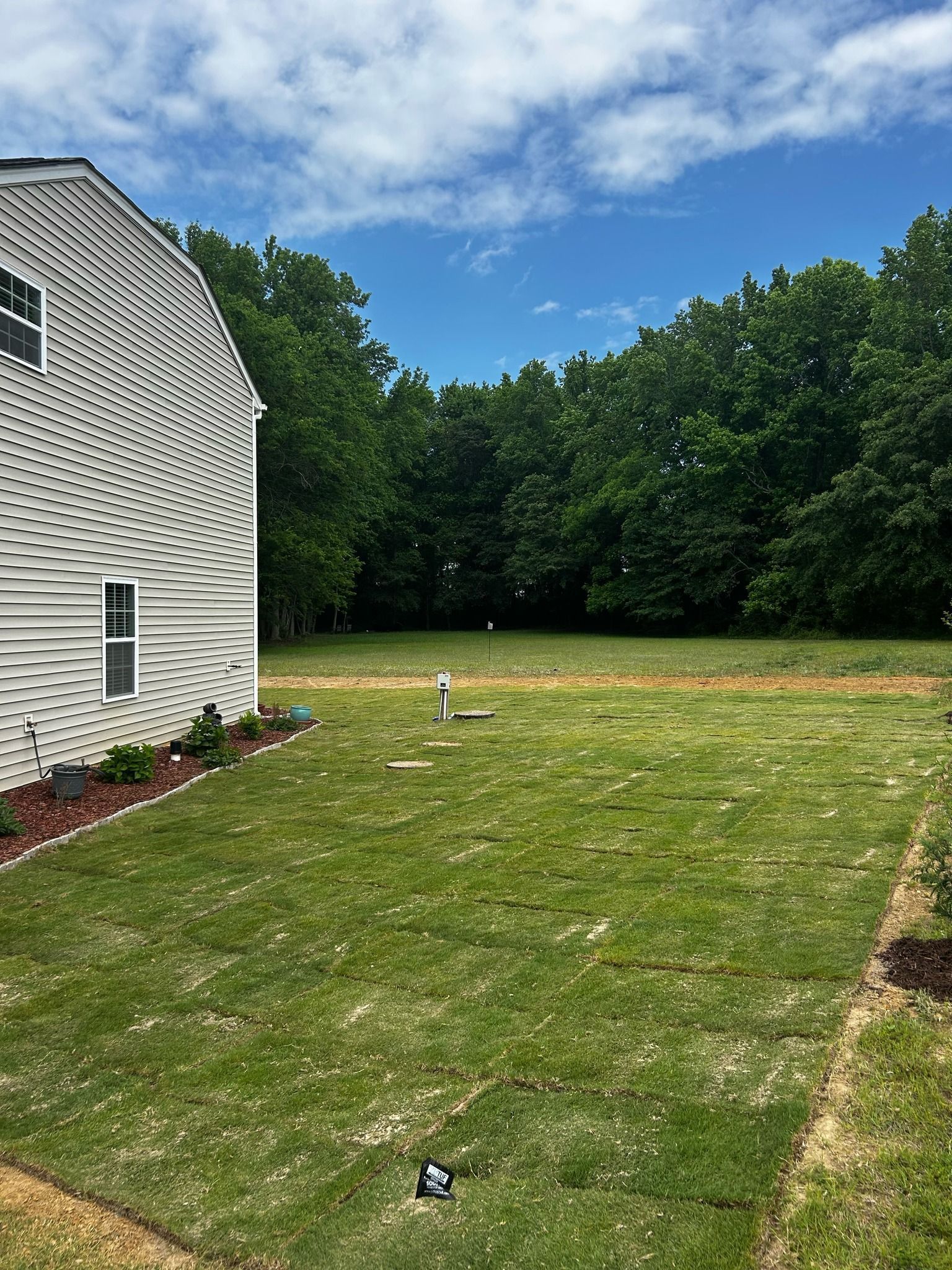 Backyard lawn beside a white house, with trees and blue sky in the background.