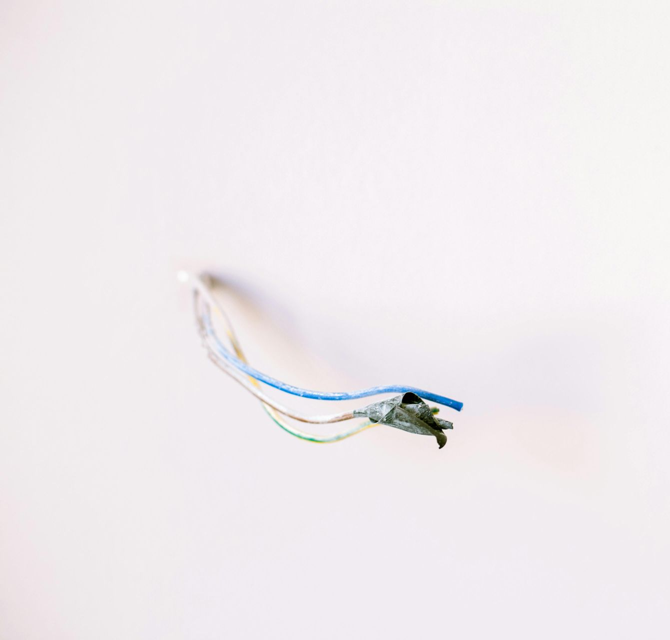 Small white and blue wire ends on a plain white background