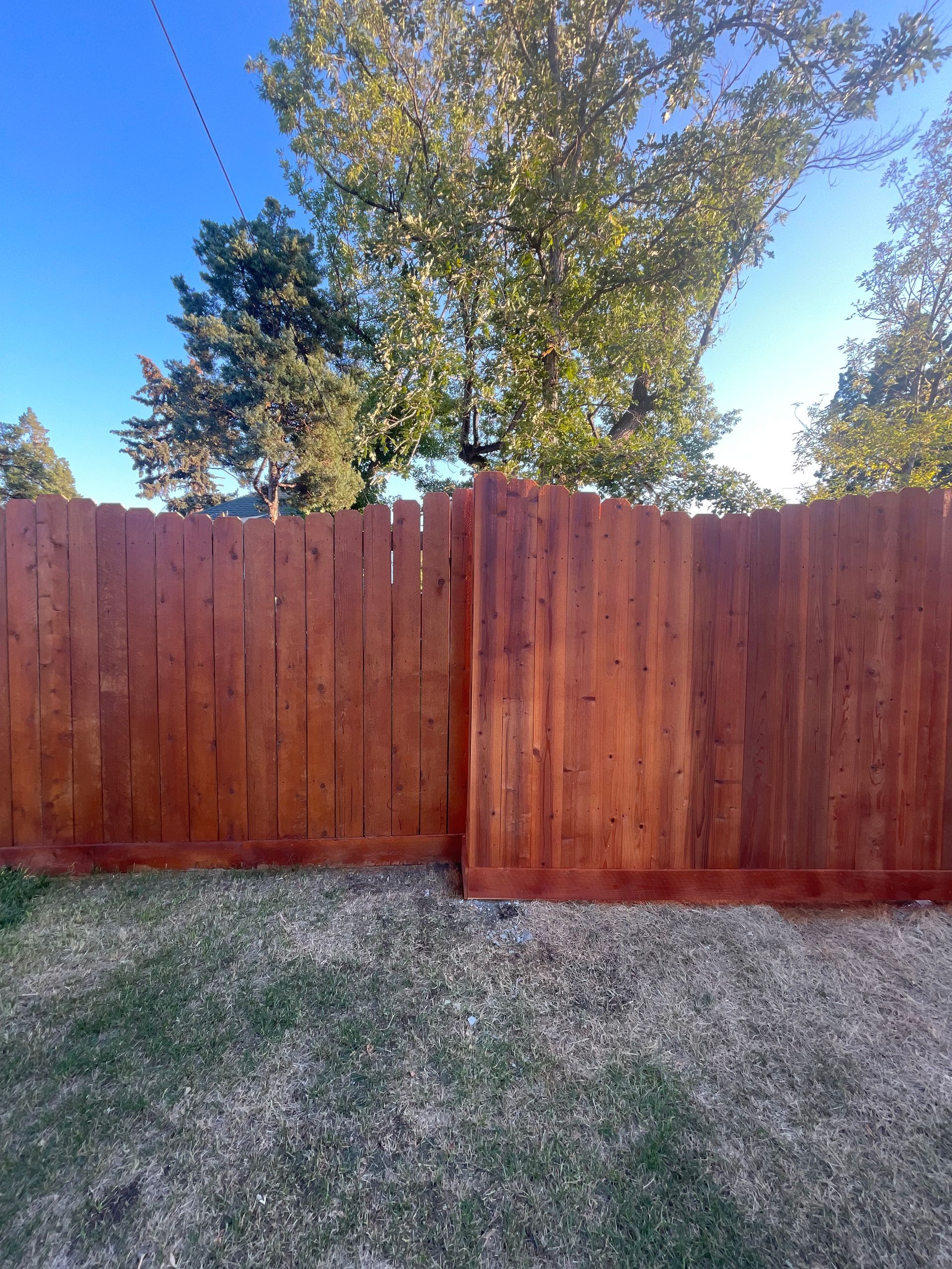 A brown wooden fence with a slightly uneven top edge stands in front of a tree against a clear blue sky.