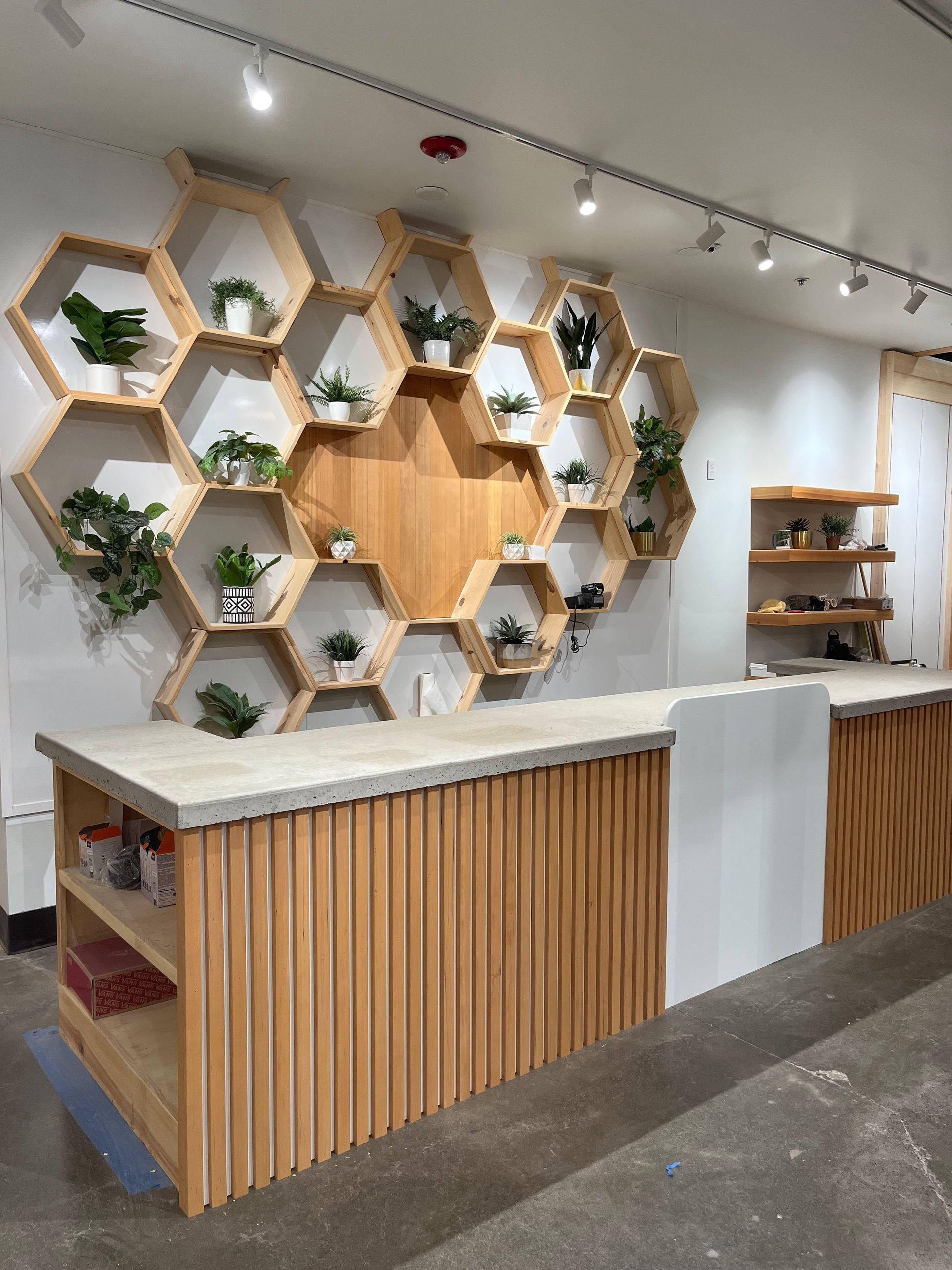 A wooden hexagonal honeycomb wall display holding small potted plants behind a textured wooden and concrete front desk.