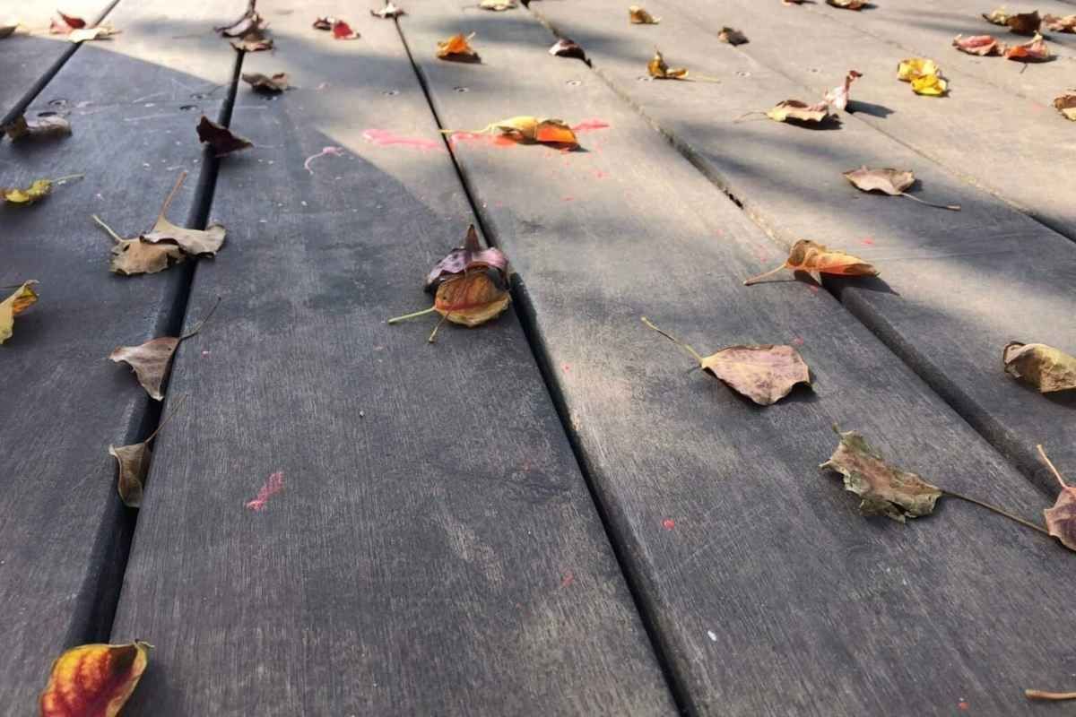 Wooden deck with scattered fall leaves.