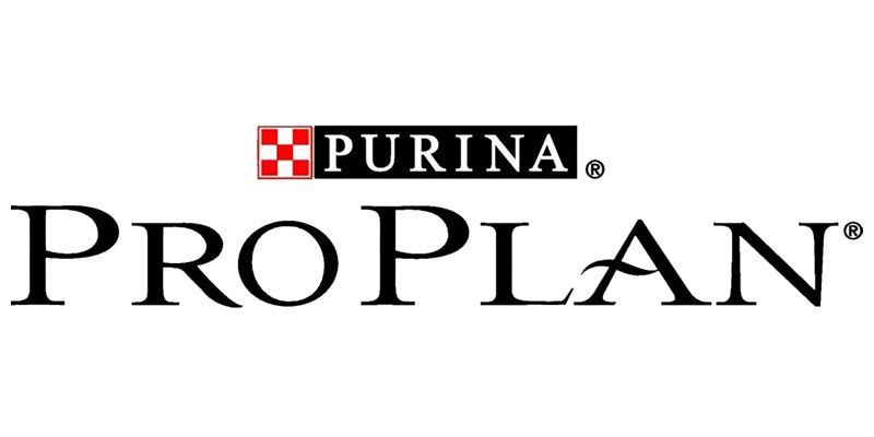 pro plan