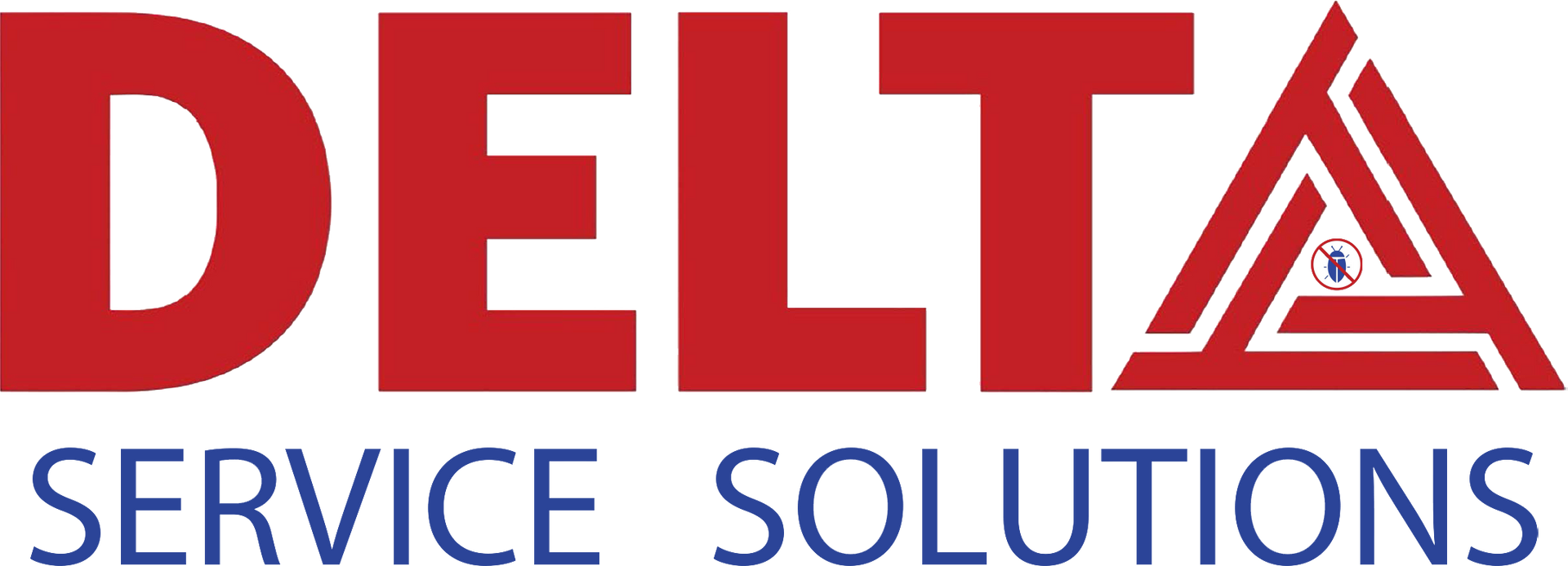 Delta Service Solutions