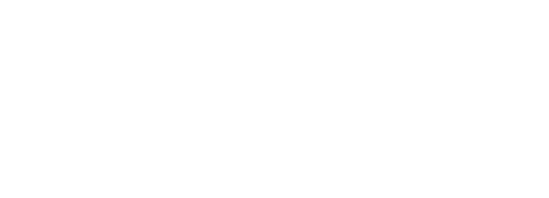Delta Service Solutions