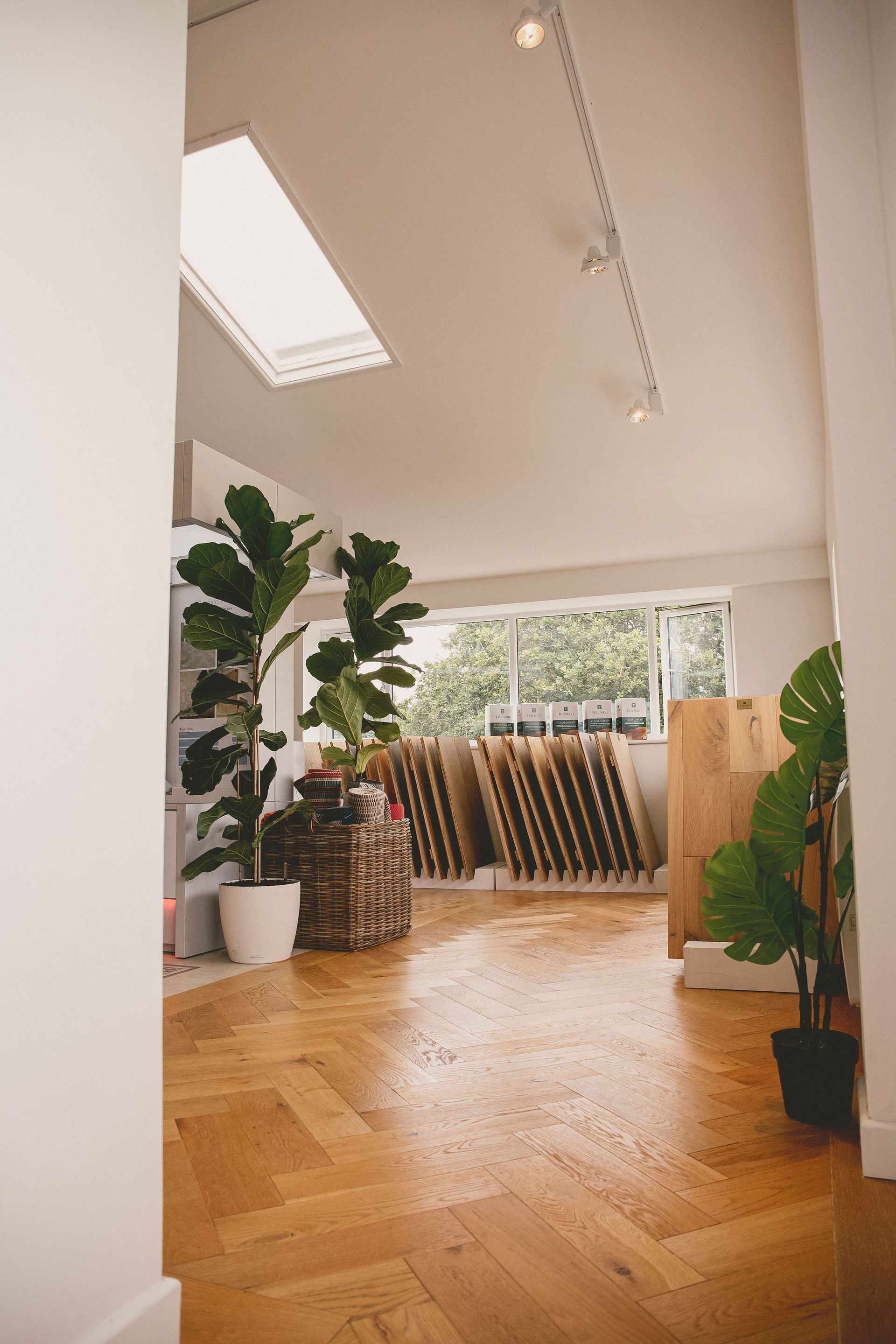 Engineered wood flooring in Loddiswell flooring showroom