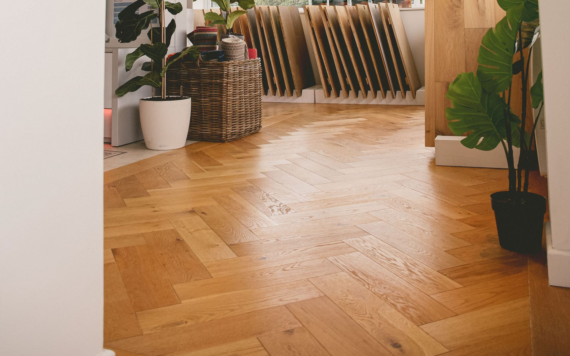 solid wood herringbone floor pattern in showroom in South Devon
