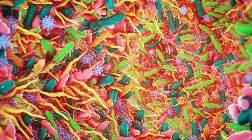 Disbiosis intestinal