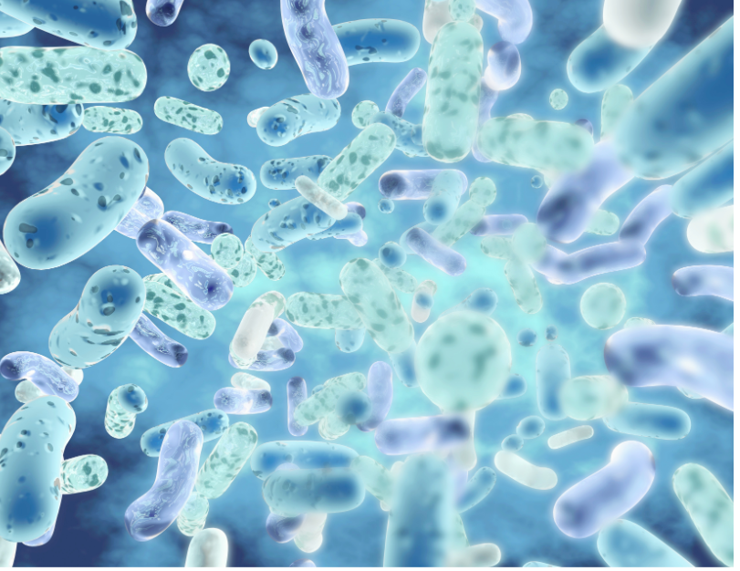 desequilibrio microbiota intestinal