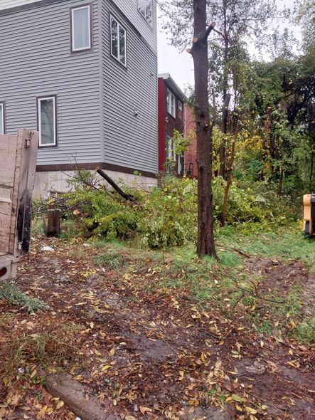 Backyard beside a gray house, with wet leaves, trees, and a muddy path after rain
