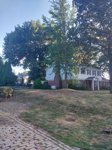 Brick house with white columns behind large trees and a sloped front yard with a stone walkway