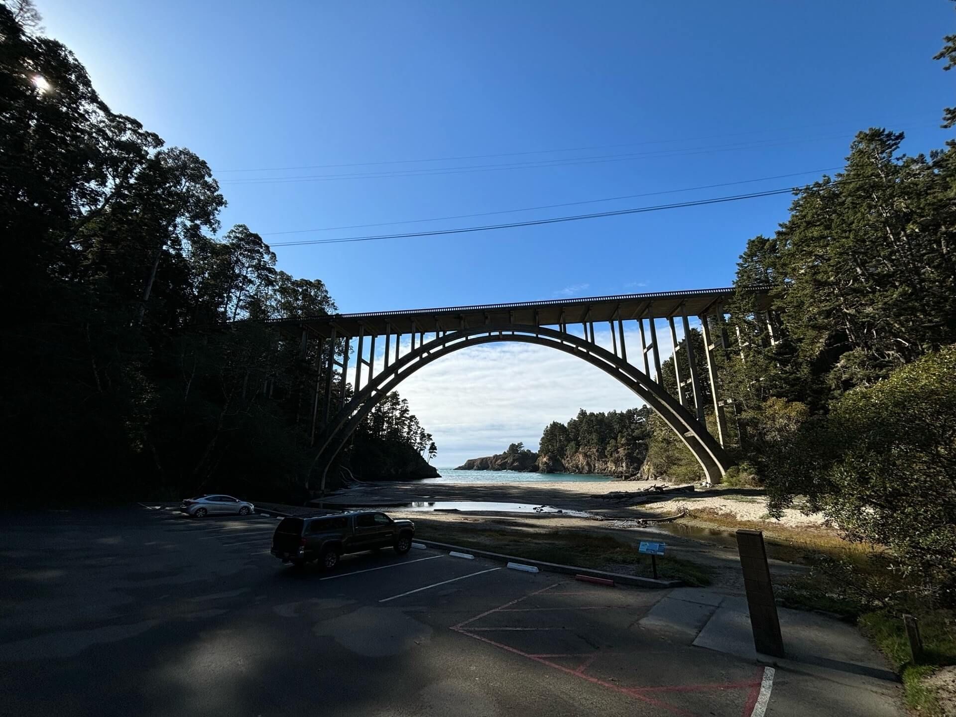 Near Me Tours Immersive Local Experiences