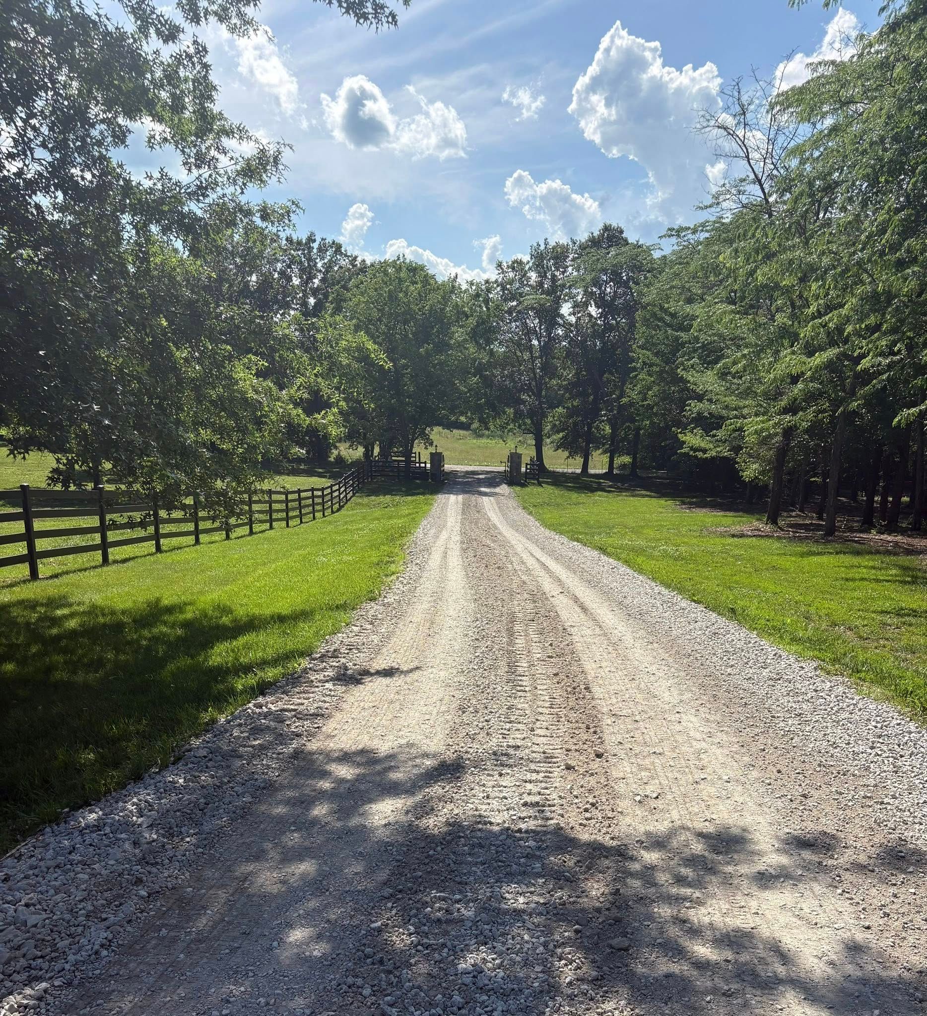 Gravel driveway lined with trees and a wooden fence on a sunny day