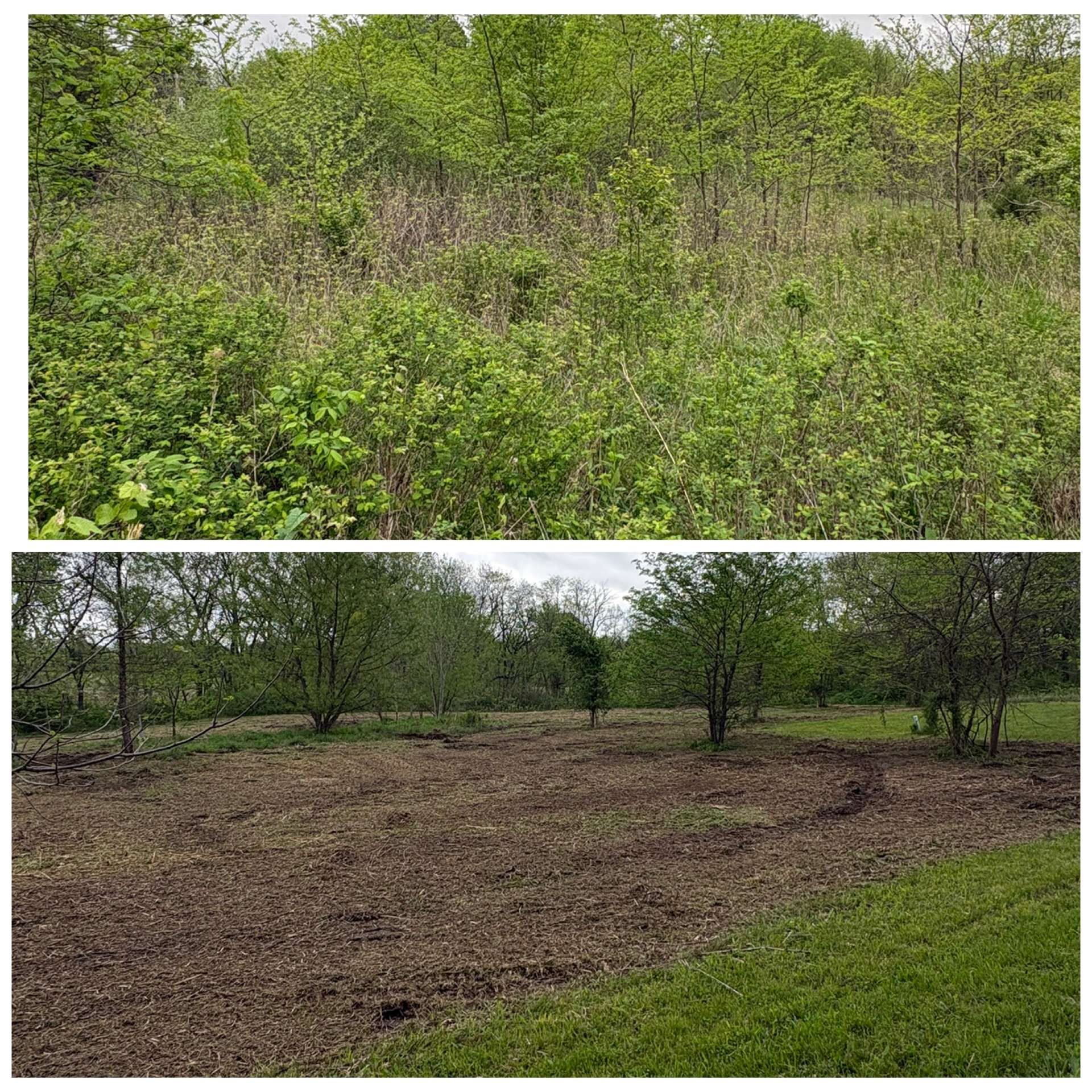 Before-and-after view of a grassy area turned into a cleared dirt plot among trees.