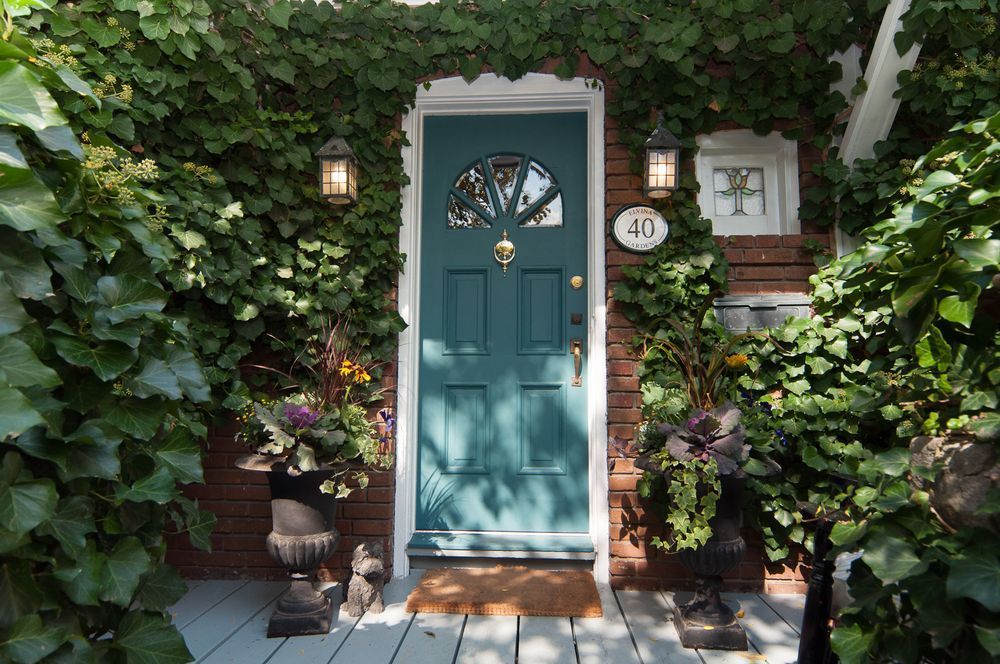 Teal front door with ivy, surrounded by plants and brick.