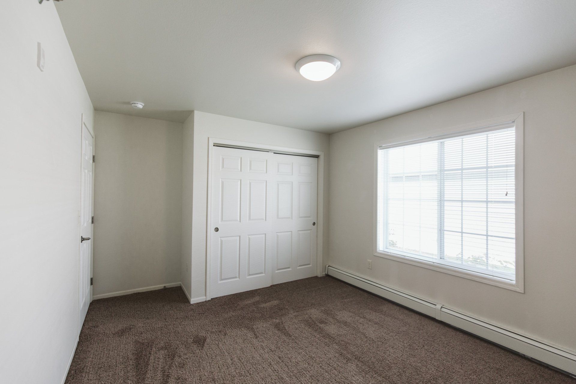 Carpeted bedroom with large sliding door closet and window