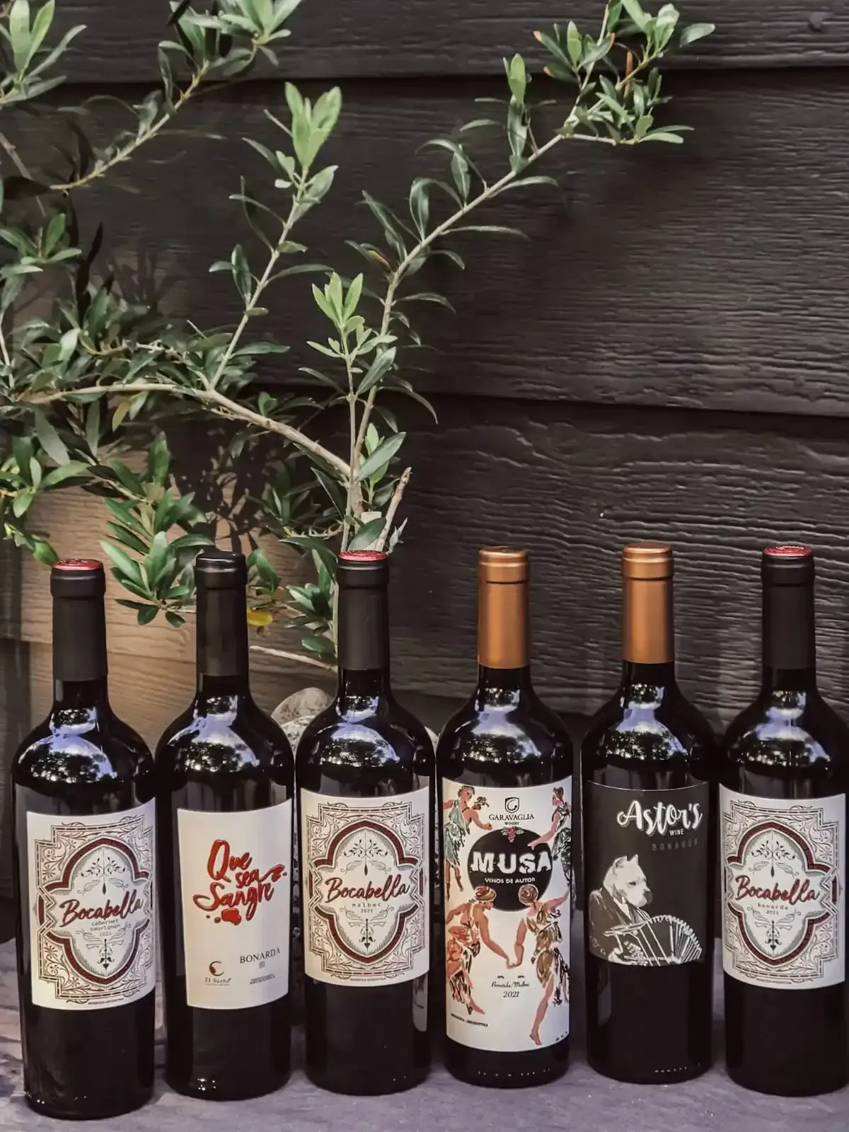 Bonarda Wines | Hangover Street