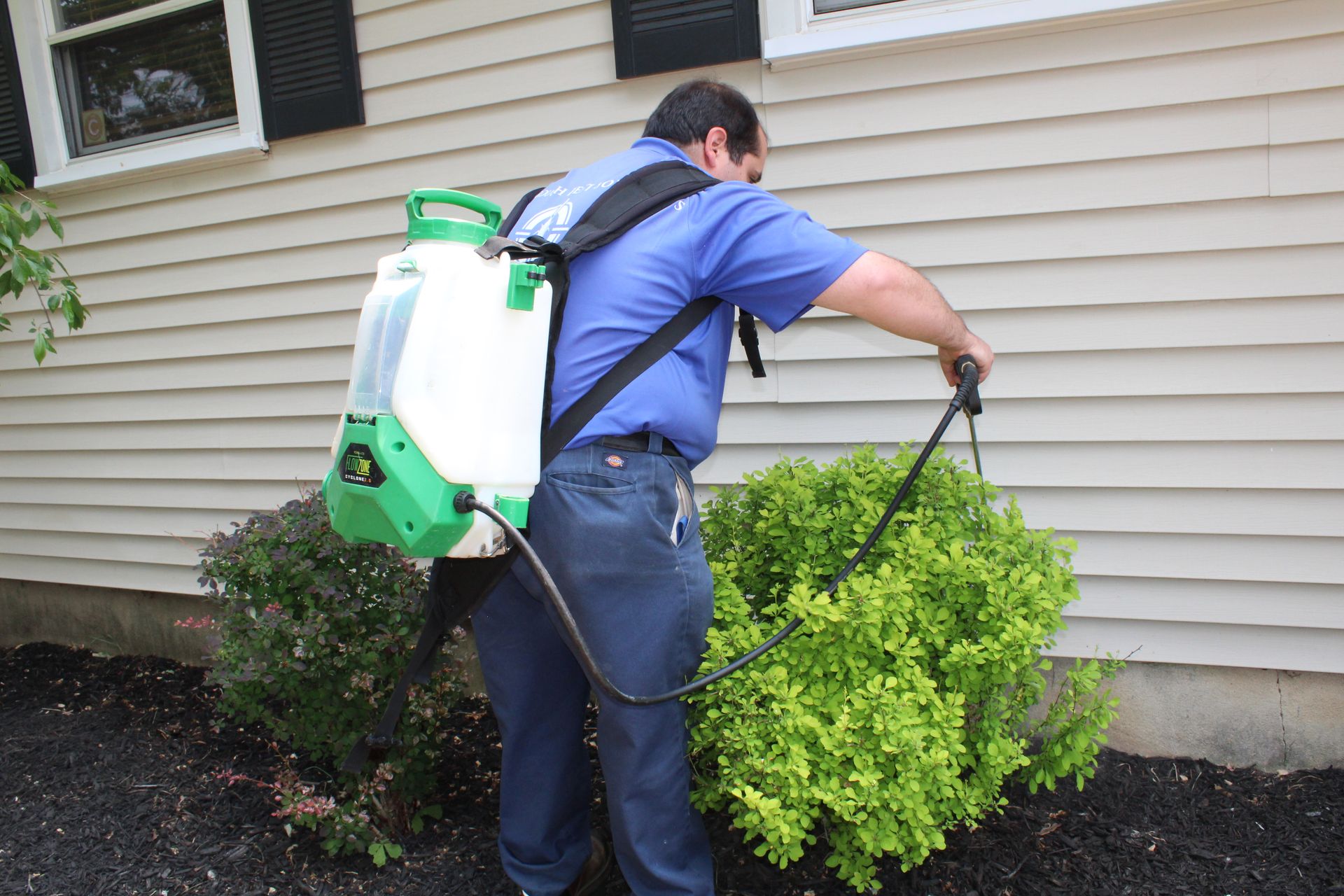 Pest Control Neptune City, NJ Thorough Pest Solutions