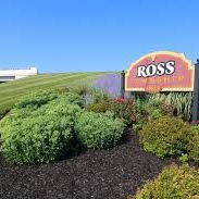 Sign for Ross Farm, next to green bushes, under a blue sky.