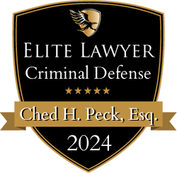 Elite Lawyer Criminal Defense badge: Gold and black, winged emblem, text "Elite Lawyer," name, and "2024".