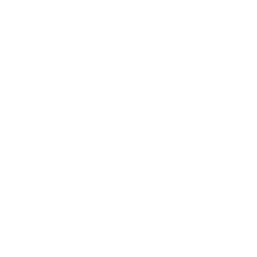Icon Clarity + Shine