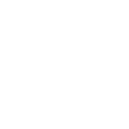 Icon Clean